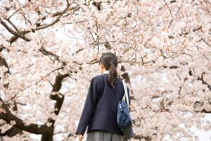 希望の職場に導いてくれる就活塾